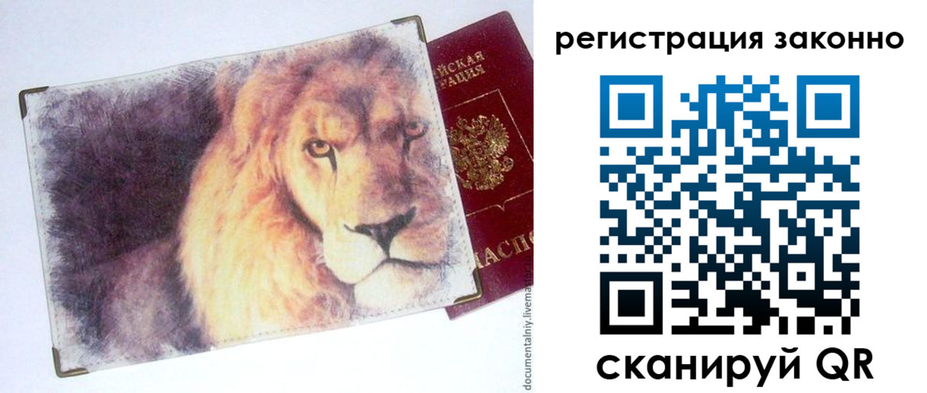 прописка гарантия в Петропавловске-Камчатском