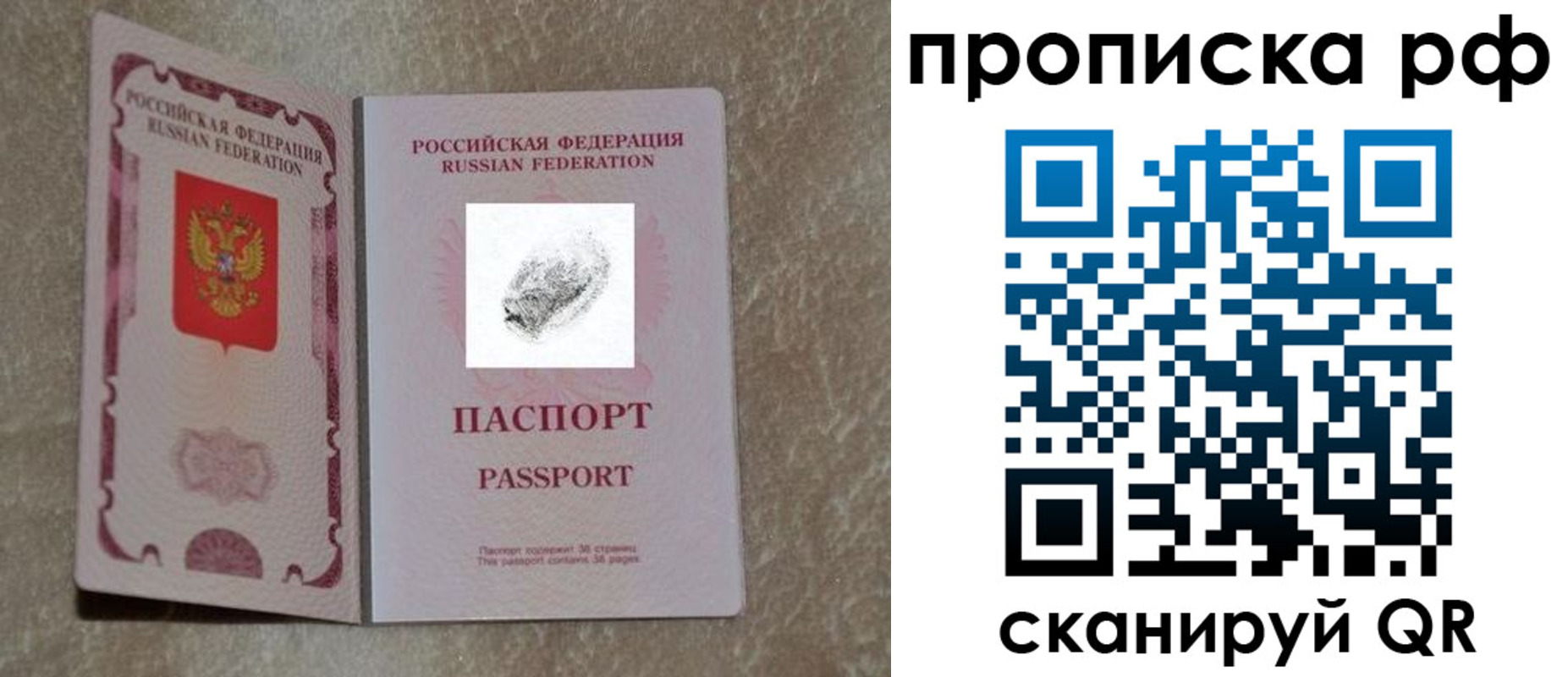 прописка поиск в Петропавловске-Камчатском